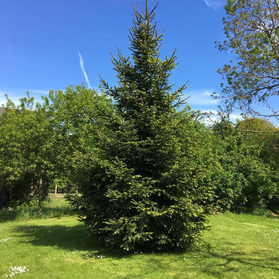 Lieu Dit Le Jardin Saint-Lambert  Luaran gambar